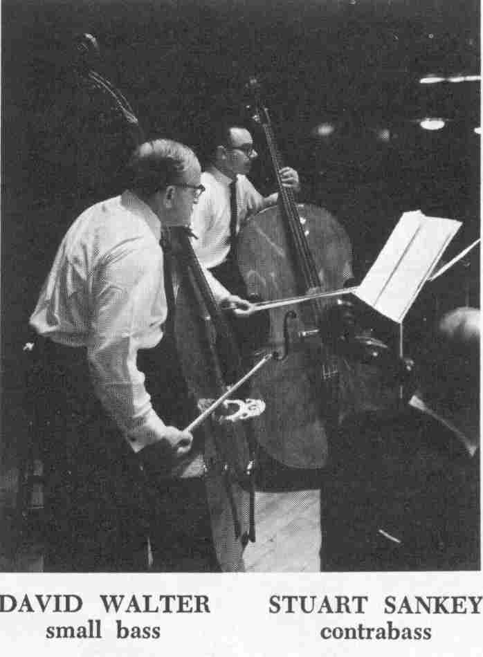 small bass contrabass